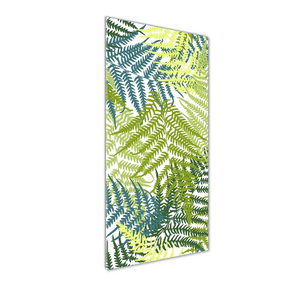 Print on acrylic Fern leaves