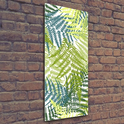 Print on acrylic Fern leaves