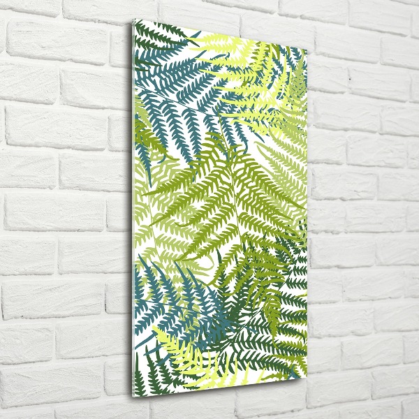 Print on acrylic Fern leaves