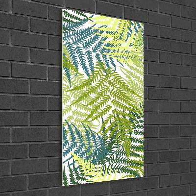 Print on acrylic Fern leaves