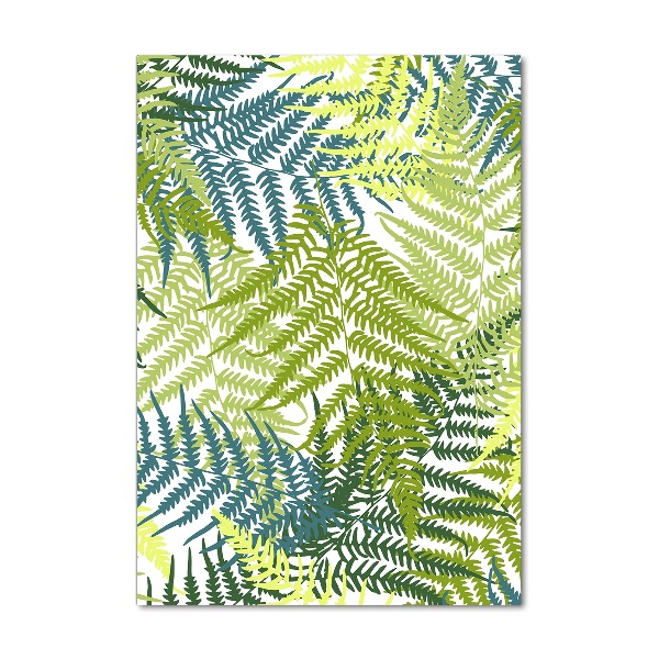 Print on acrylic Fern leaves