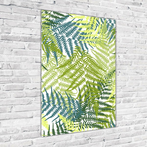 Print on acrylic Fern leaves