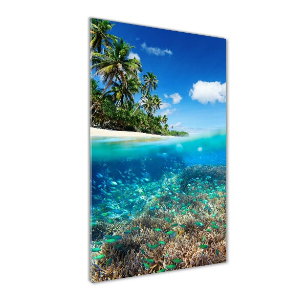 Coral reef