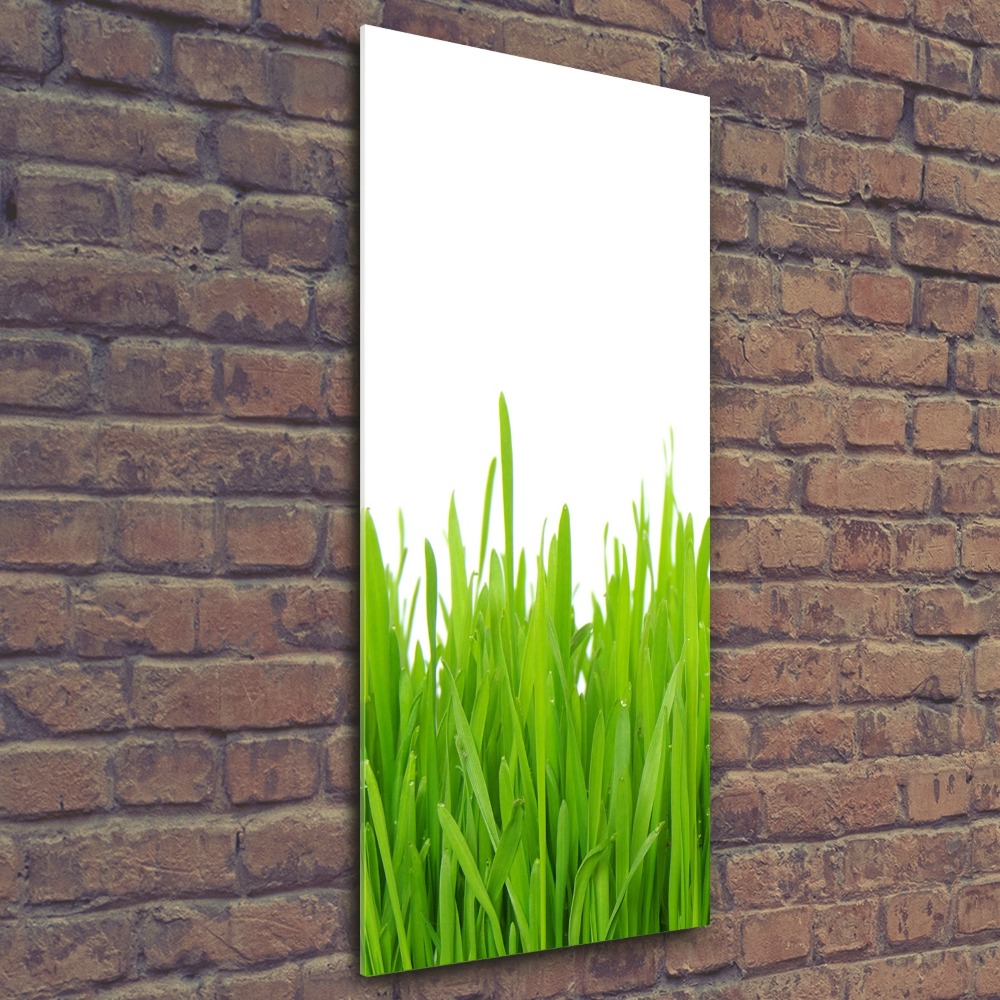 Acrylic wall art green grass