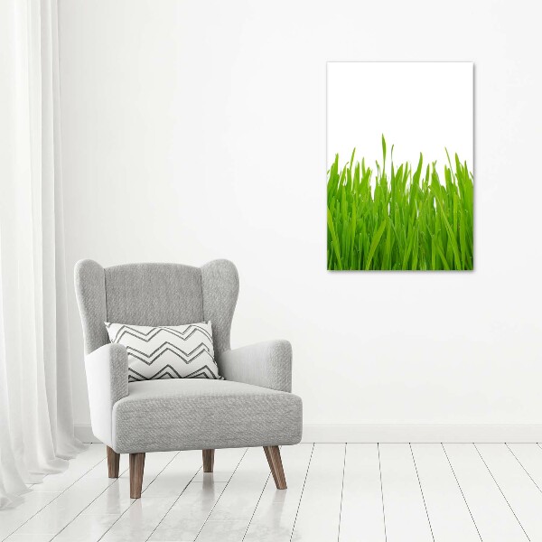 Acrylic wall art green grass