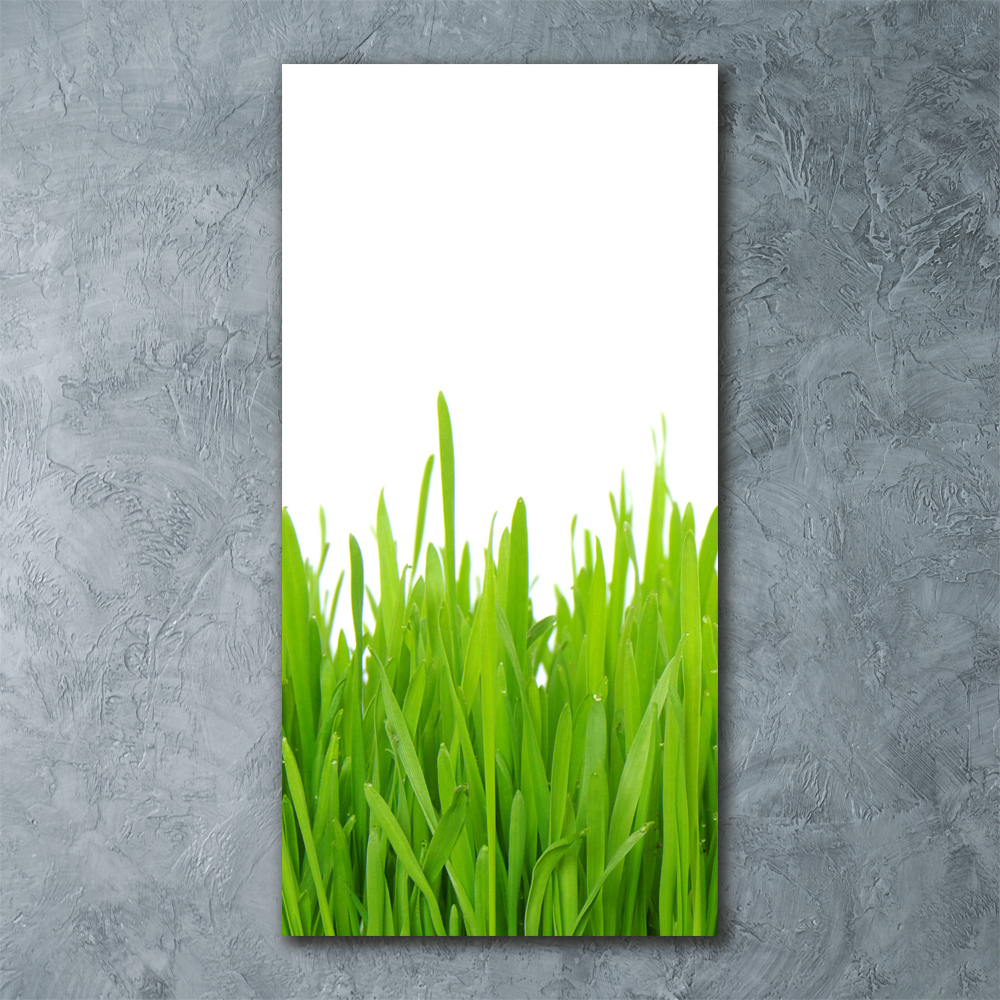 Acrylic wall art green grass