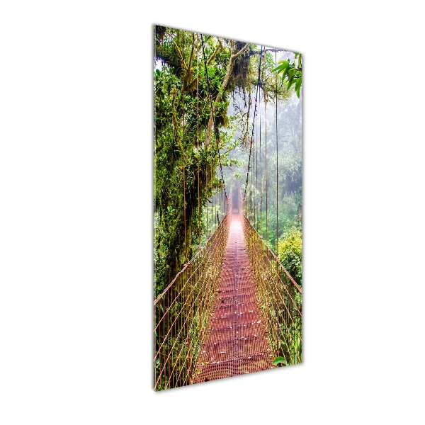 Print on acrylic Hanging bridge