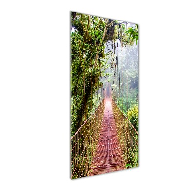 Print on acrylic Hanging bridge