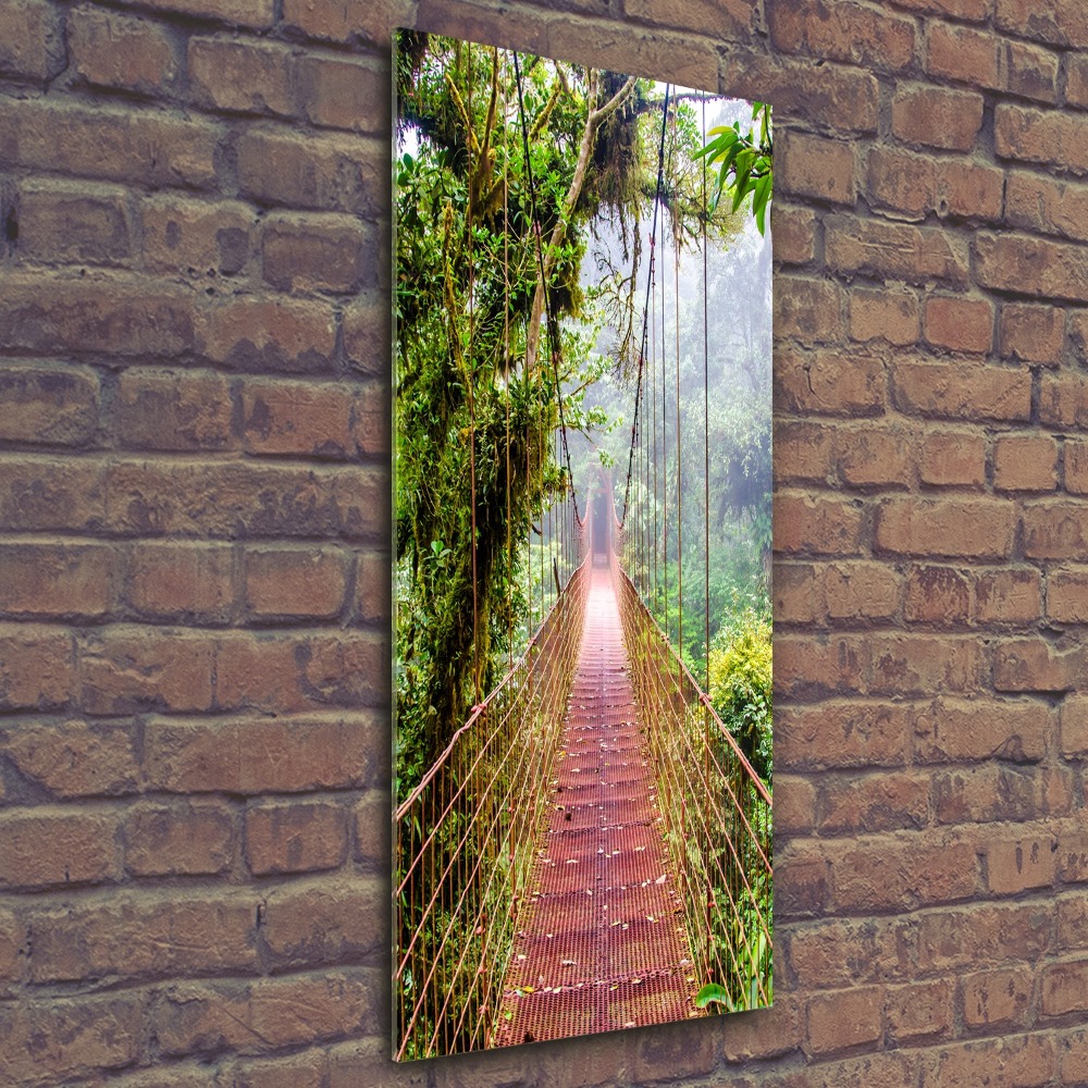 Print on acrylic Hanging bridge