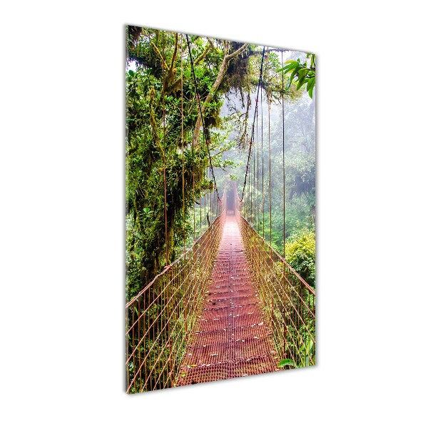 Print on acrylic Hanging bridge