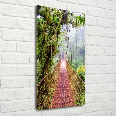 Print on acrylic Hanging bridge