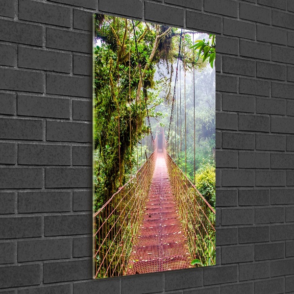 Print on acrylic Hanging bridge