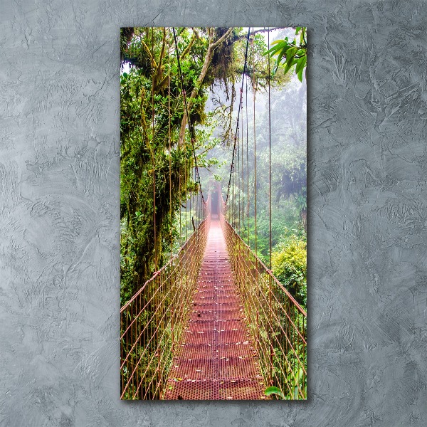 Print on acrylic Hanging bridge