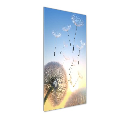 Acrylic wall art Dandelion