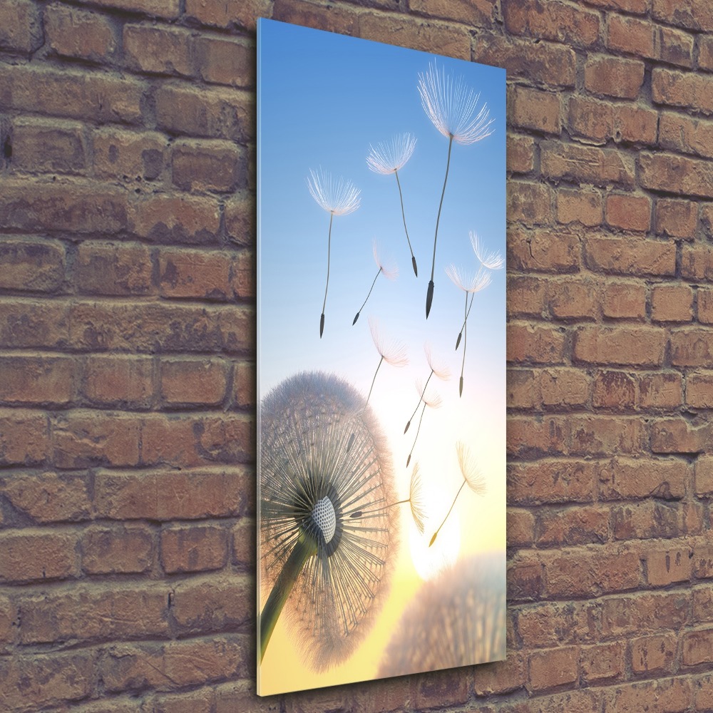 Acrylic wall art Dandelion