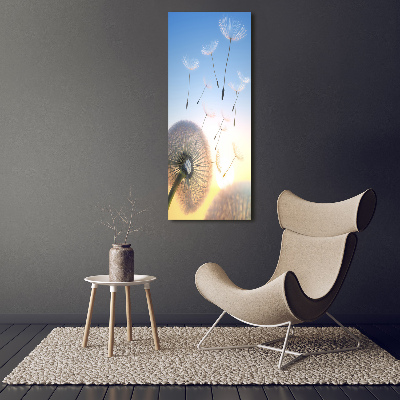 Acrylic wall art Dandelion