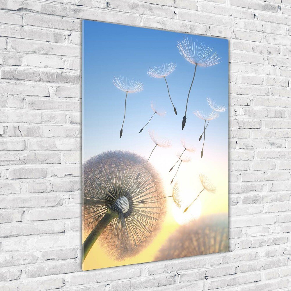 Acrylic wall art Dandelion