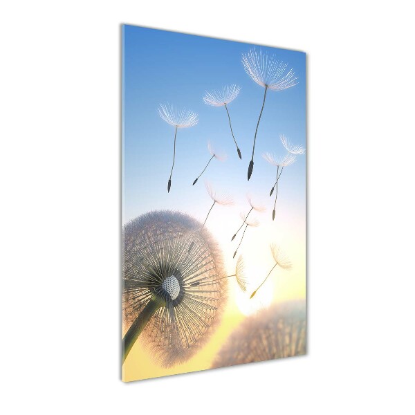 Acrylic wall art Dandelion