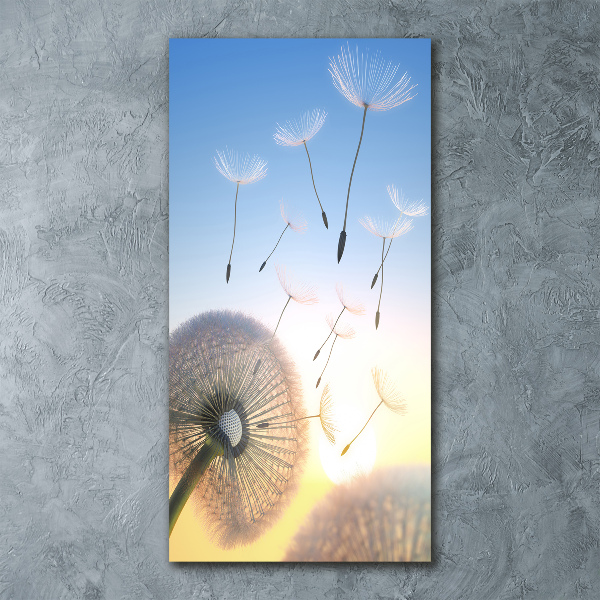 Acrylic wall art Dandelion