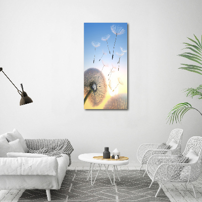 Acrylic wall art Dandelion