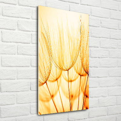 Print on acrylic Dandelion seeds