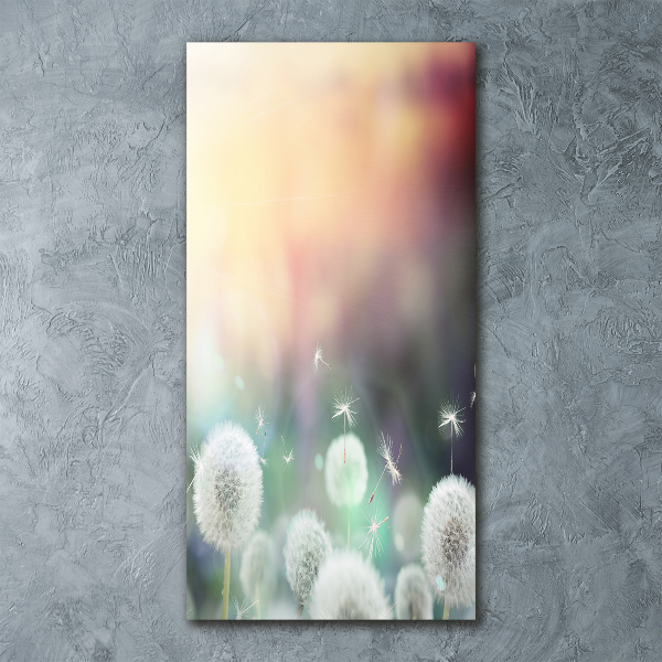 Print on acrylic dandelions