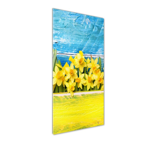 Print on acrylic Daffodil