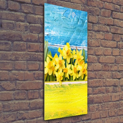 Print on acrylic Daffodil