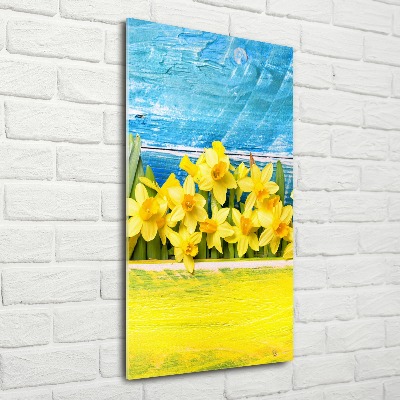 Print on acrylic Daffodil