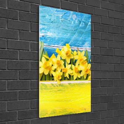 Print on acrylic Daffodil