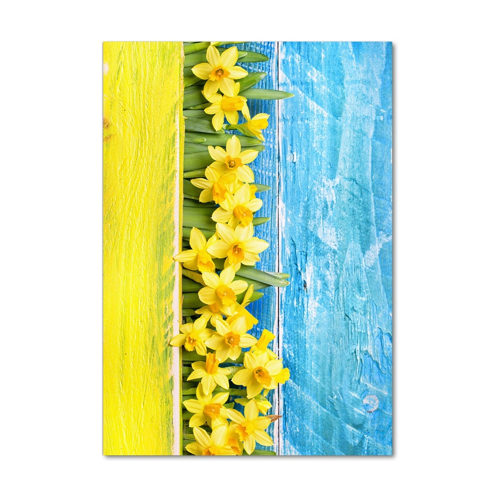 Print on acrylic Daffodil