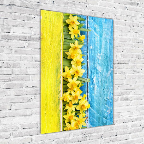 Print on acrylic Daffodil