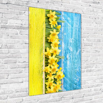 Print on acrylic Daffodil