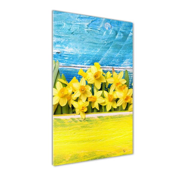 Print on acrylic Daffodil