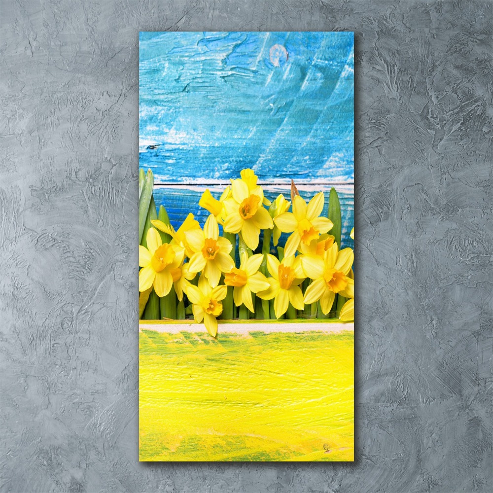 Print on acrylic Daffodil