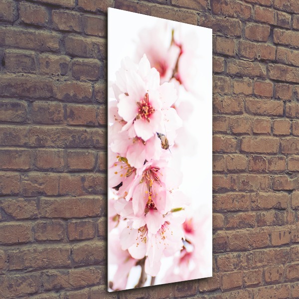 Print on acrylic Tonsil flowers