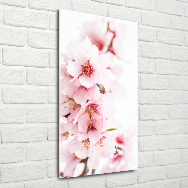 Print on acrylic Tonsil flowers