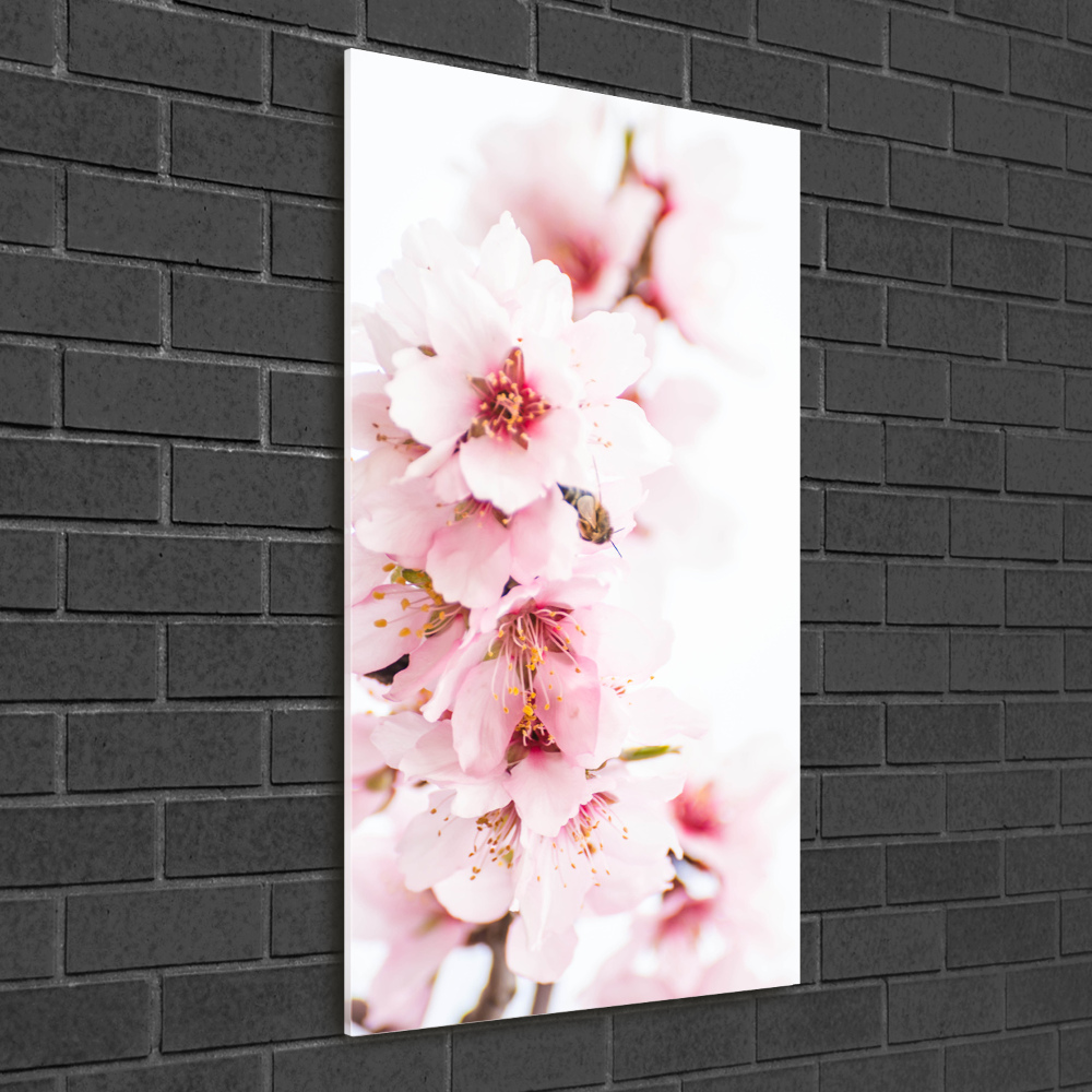 Print on acrylic Tonsil flowers