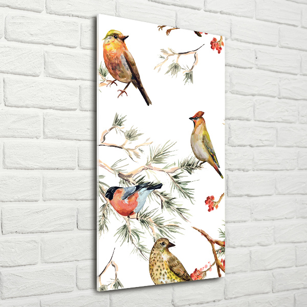 Acrylic print Birds and conifers