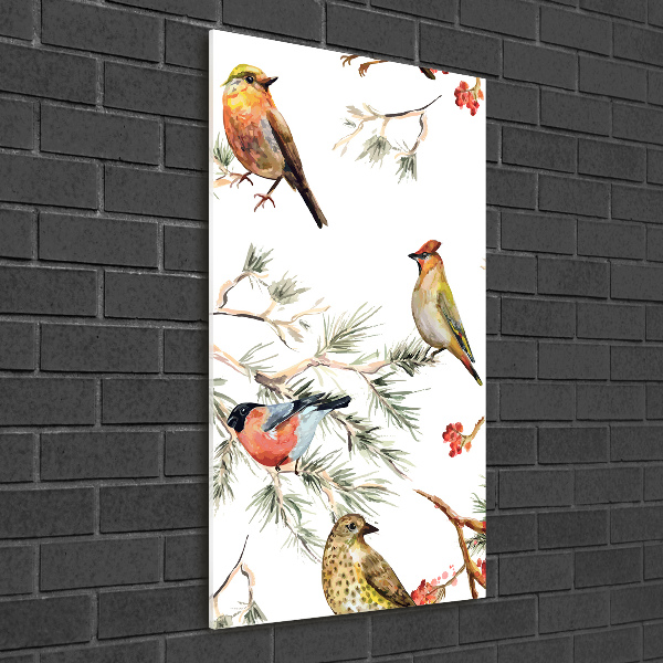 Acrylic print Birds and conifers