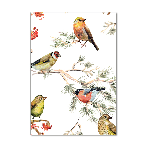 Acrylic print Birds and conifers