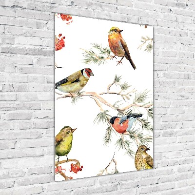 Acrylic print Birds and conifers