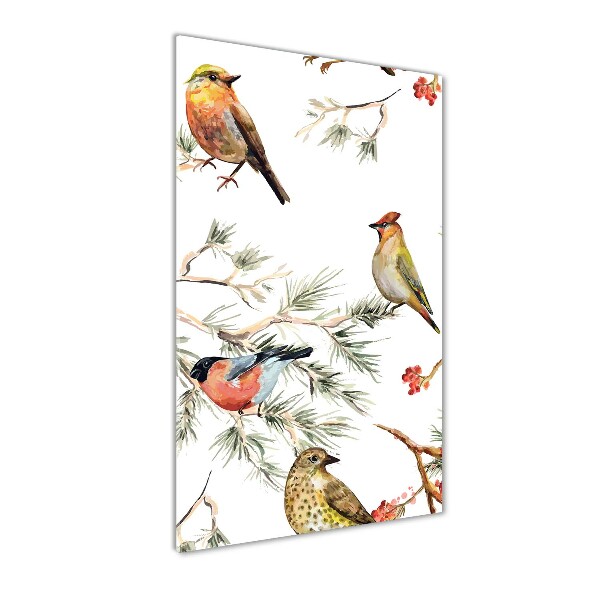 Acrylic print Birds and conifers