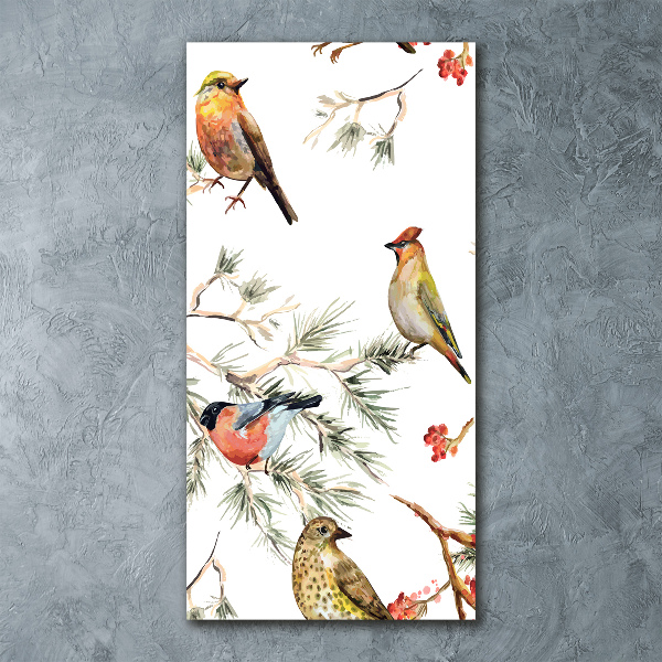 Acrylic print Birds and conifers