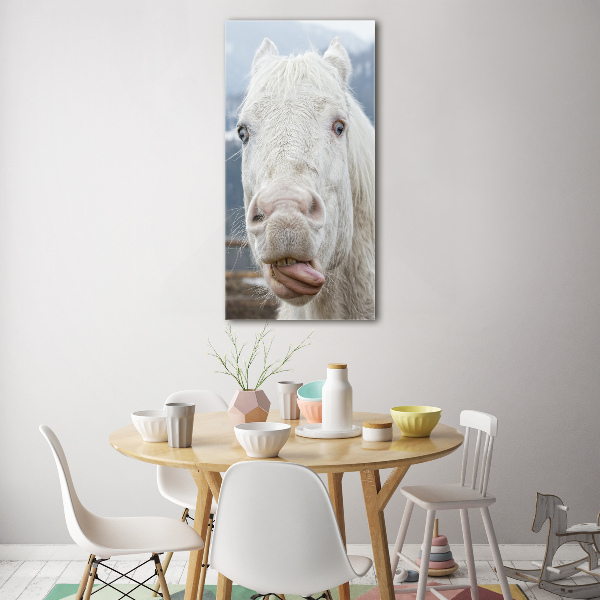 Print on acrylic Crazy white horse