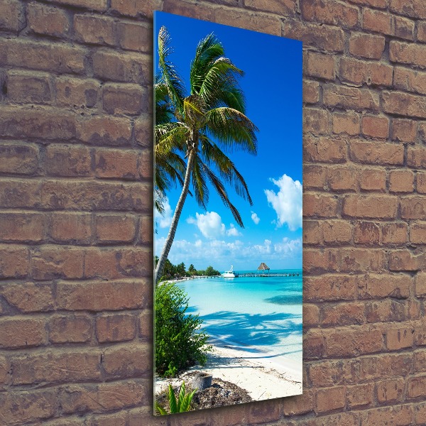 Acrylic wall art Tropical beach