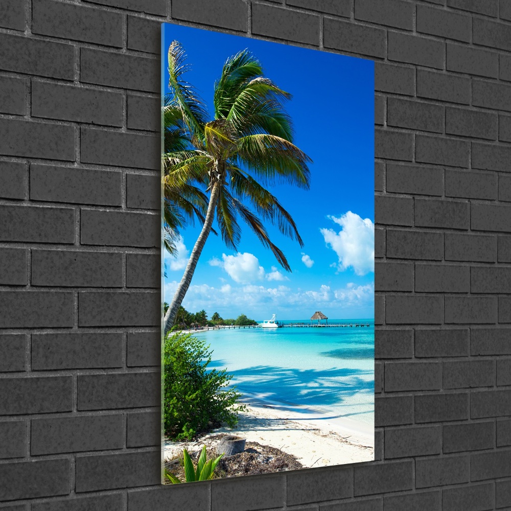 Acrylic wall art Tropical beach