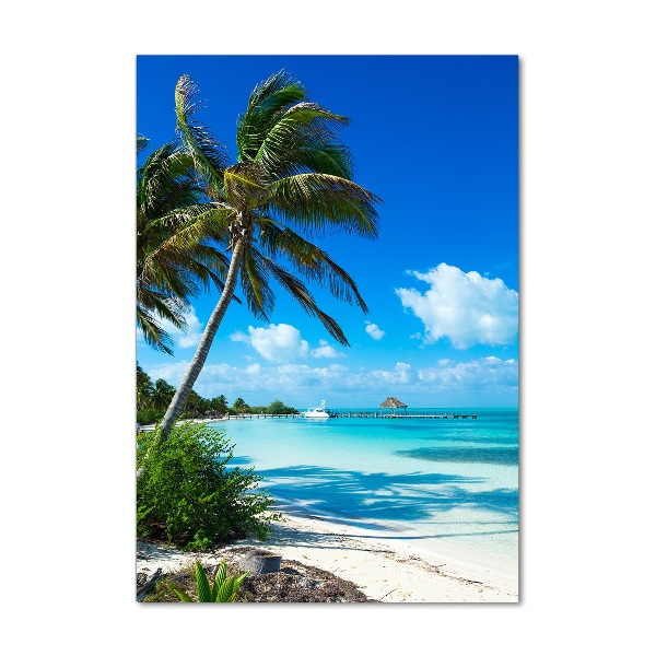 Acrylic wall art Tropical beach