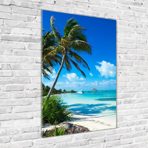 Acrylic wall art Tropical beach