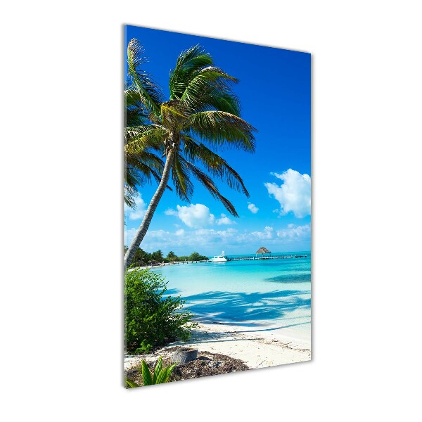 Acrylic wall art Tropical beach